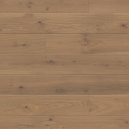 Dąb La Ponche Dąb La Ponche