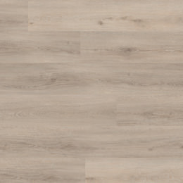 Dąb Brügge Dąb Brügge