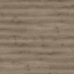 Oak Scotch Saloon Oak Scotch Saloon