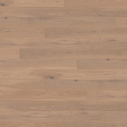 Dąb Beaujolais Dąb Beaujolais