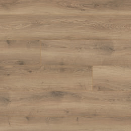 Chêne Arousa Chêne Arousa