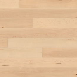 Érable canadien Érable canadien