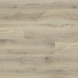 Chêne Hawaii Chêne Hawaii