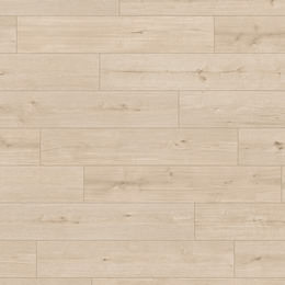 Chêne Deimos Chêne Deimos