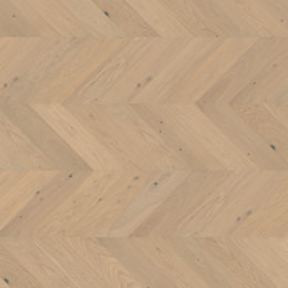 Chêne Het Zand Chêne Het Zand