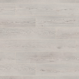 Dąb Iceland Dąb Iceland