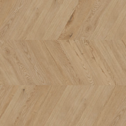 Dąb Dublin Dąb Dublin