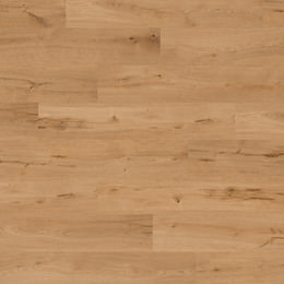 Dąb Banta Dąb Banta