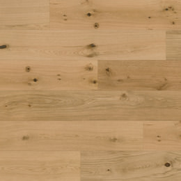 Chêne Caledonian Forest