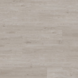 Dąb Odessa Dąb Odessa