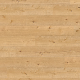 Roble Perseus Roble Perseus