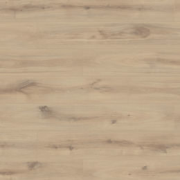 Oak Zanzibar Oak Zanzibar