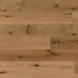 Oak No. 24 - Glasgow