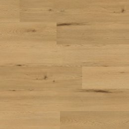 Dąb Marseille Dąb Marseille