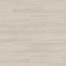 Modrzew Bornholmski Modrzew Bornholmski