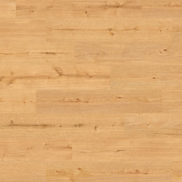 Dąb Libra Dąb Libra