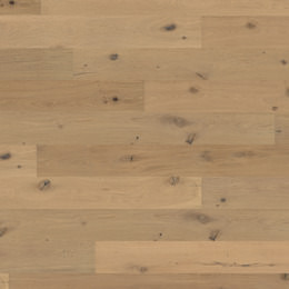 Oak No.31 - Galloway