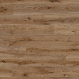 Chêne Lyra Chêne Lyra