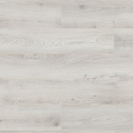 Chêne Fuerteventura Chêne Fuerteventura