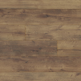 Dąb Tonga Dąb Tonga