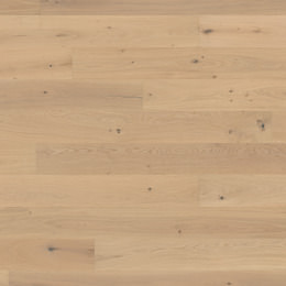 Oak No.25 - Brighton