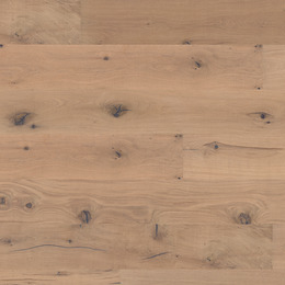 Oak No. 6 - Stirling