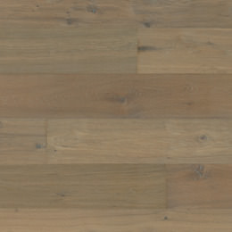 Chêne Great Basin Chêne Great Basin