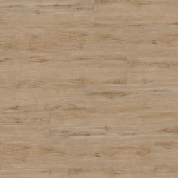 Chêne Gent Chêne Gent