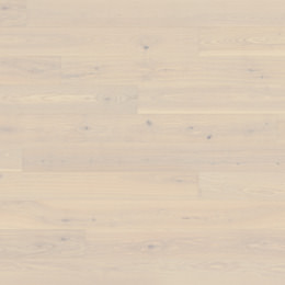 Ash Nordnes Ash Nordnes