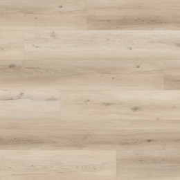 Chêne Tokyo Chêne Tokyo