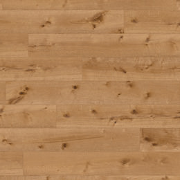 Chêne Juno Chêne Juno