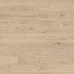 Dąb Yoga Studio Dąb Yoga Studio