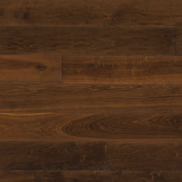 Dąb Gordes Dąb Gordes