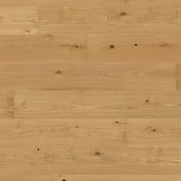 Oak No.33 - Clarence