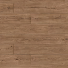 Dąb Ibiza Dąb Ibiza