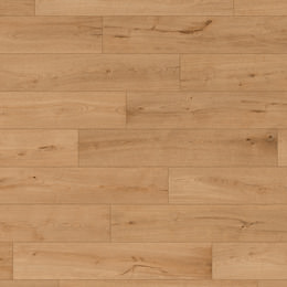 Chêne Banta Chêne Banta