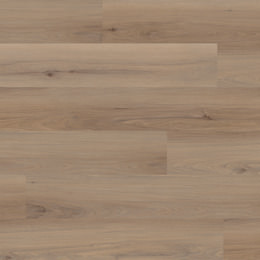 Chêne Lima Chêne Lima