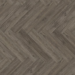 Dąb Canberra Dąb Canberra