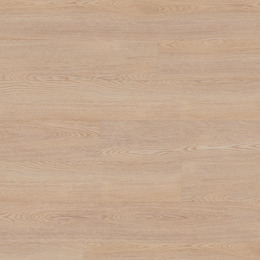 Dąb Berlin Dąb Berlin