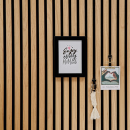 Dolf - boton de plástico