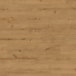 Chêne Askella Chêne Askella