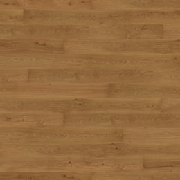 Dąb Barbaresco Dąb Barbaresco