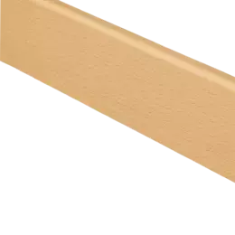 Beuken kleurig Beuken kleurig