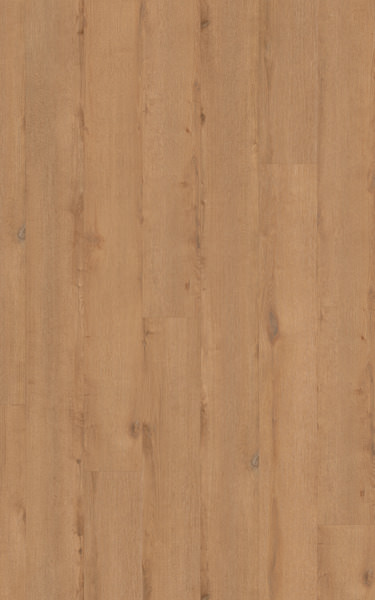 Oak Hamburg | Comfort | 1101200492