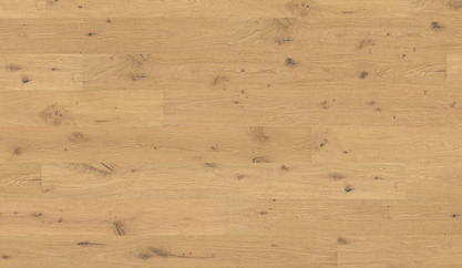 Oak No.32 - South Downs