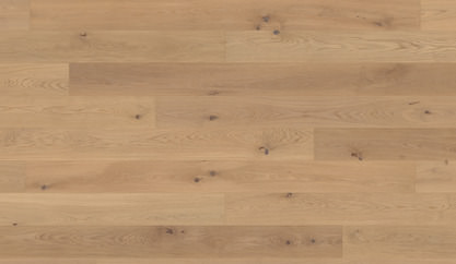 Dąb Mont Boron Dąb Mont Boron