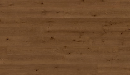 Dąb Antygona Dąb Antygona