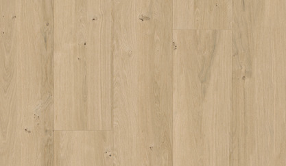 Dąb piaskowy Dąb piaskowy