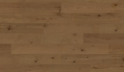 Chêne Riding Mountain