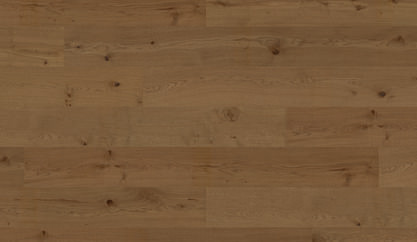 Chêne Riding Mountain